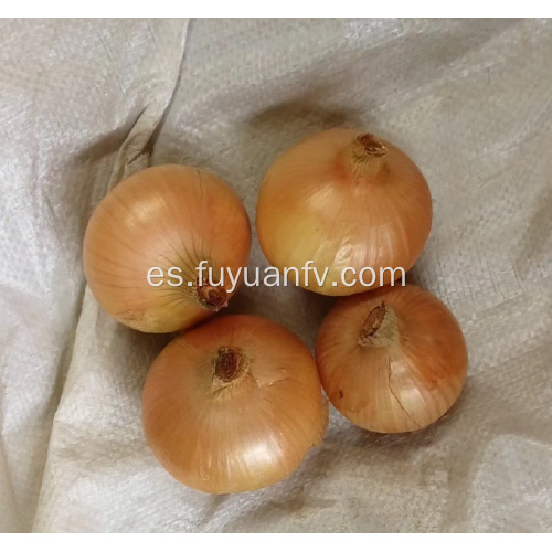 Cebolla amarilla fresca de Shandong